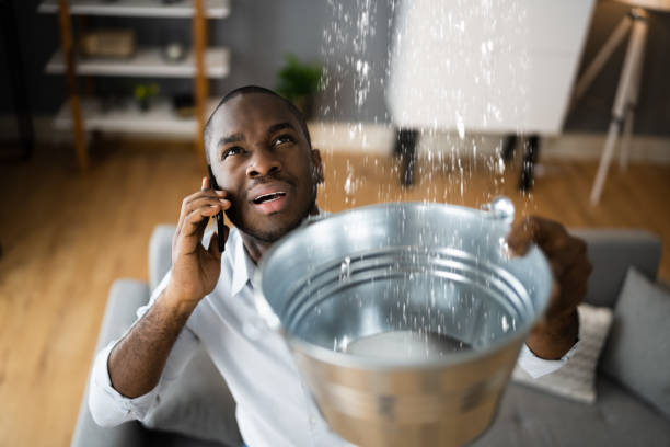 Best Flood restoration services  in Lynn, MA