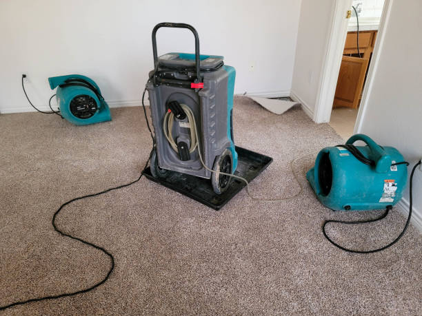 Best Fire Damage Restoration  in Lynn, MA