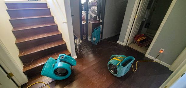 Best Sewage cleanup and water damage restoration  in Lynn, MA