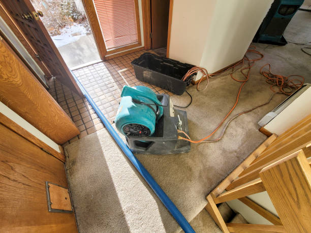 Best Flood damage cleanup  in Lynn, MA