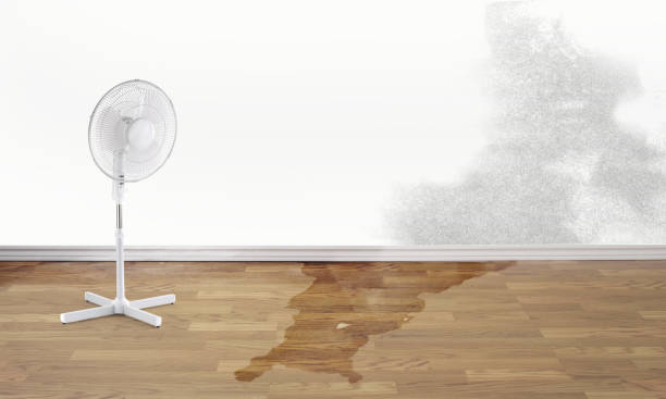 Best Emergency water damage restoration  in Lynn, MA