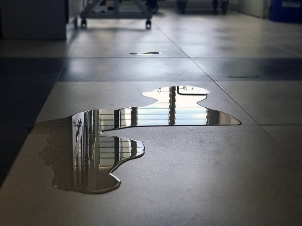 Best Water damage contractors near me  in Lynn, MA