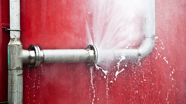 Best Mold removal after water damage  in Lynn, MA